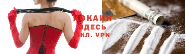 дмт Краснослободск