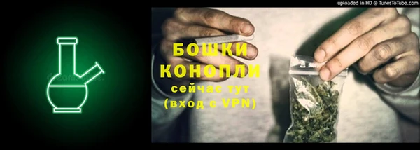дмт Краснослободск