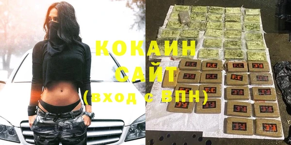 гидра Козловка
