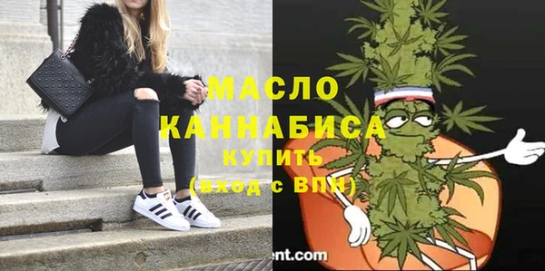 дмт Краснослободск