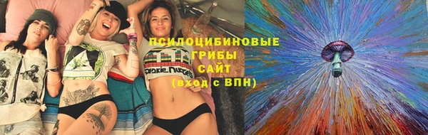 индика Красноперекопск