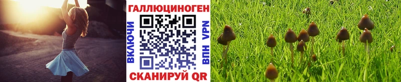 Псилоцибиновые грибы ЛСД  hydra ТОР  Саратов 